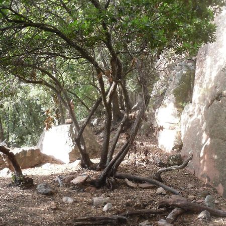 Appartamento Sa Funtana كارديدو المظهر الخارجي الصورة