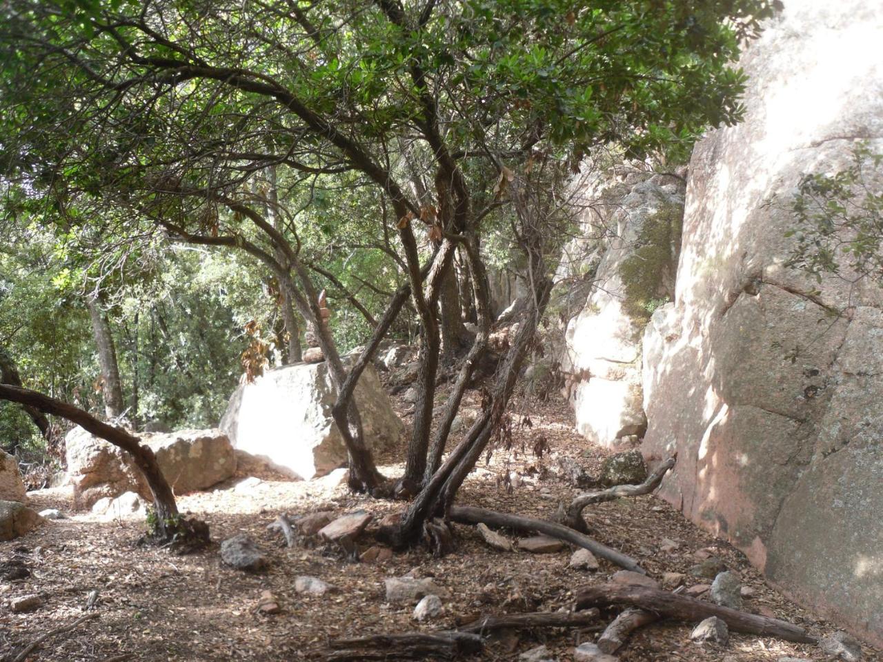 Appartamento Sa Funtana كارديدو المظهر الخارجي الصورة